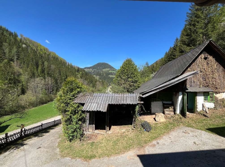 Paradies in Nähe zu Graz - Wunderbarer Besitz in Großstübing - Bild (626098)