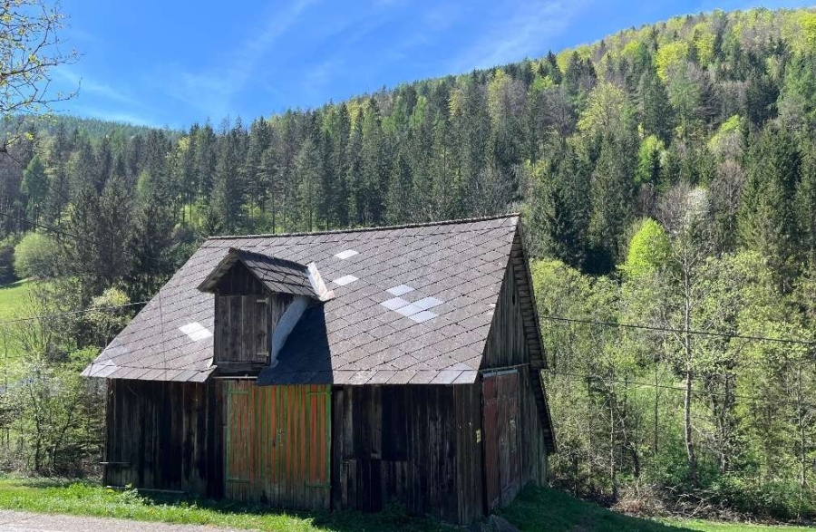 Paradies in Nähe zu Graz - Wunderbarer Besitz in Großstübing - Bild (626095)