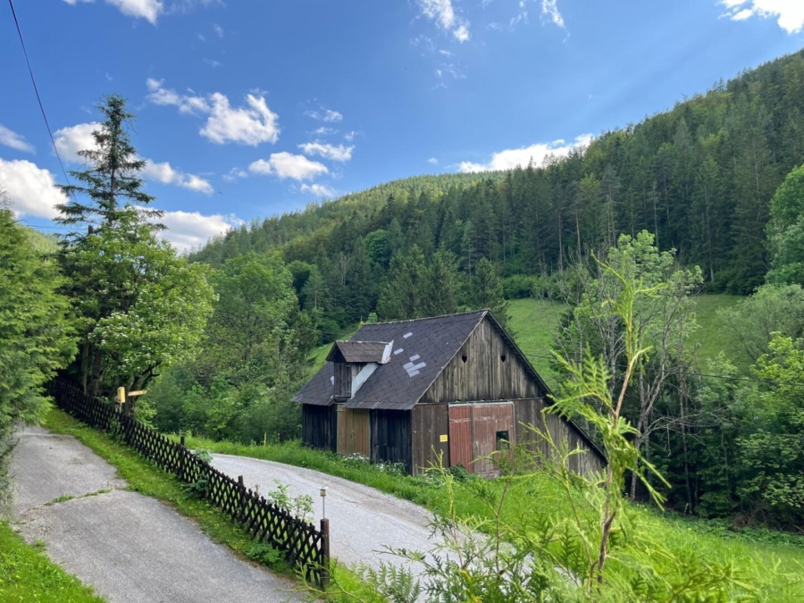 Paradies in Nähe zu Graz - Wunderbarer Besitz in Großstübing - Bild (626068)