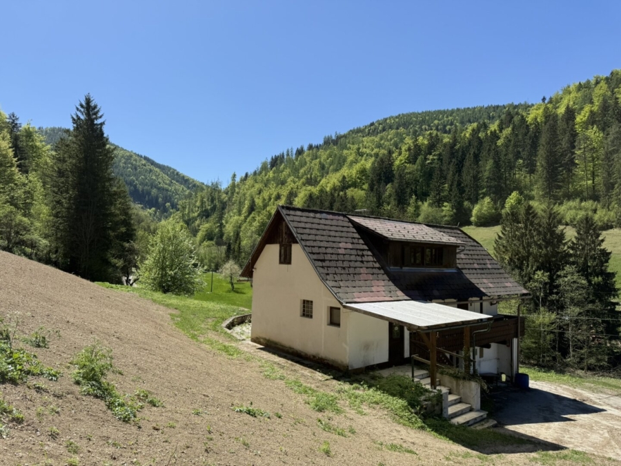 Paradies in Nähe zu Graz – Wunderbarer Besitz in Großstübing - Bild (674021)