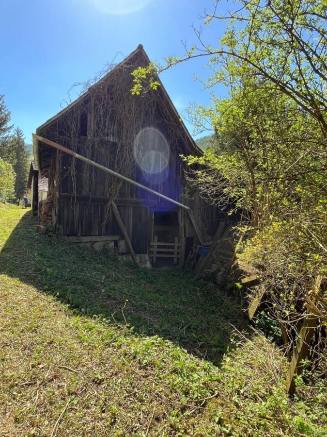 Paradies in Nähe zu Graz - Wunderbarer Besitz in Großstübing - Bild (626074)