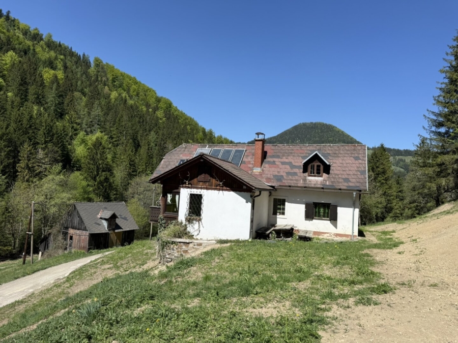 Paradies in Nähe zu Graz – Wunderbarer Besitz in Großstübing - Bild (673971)