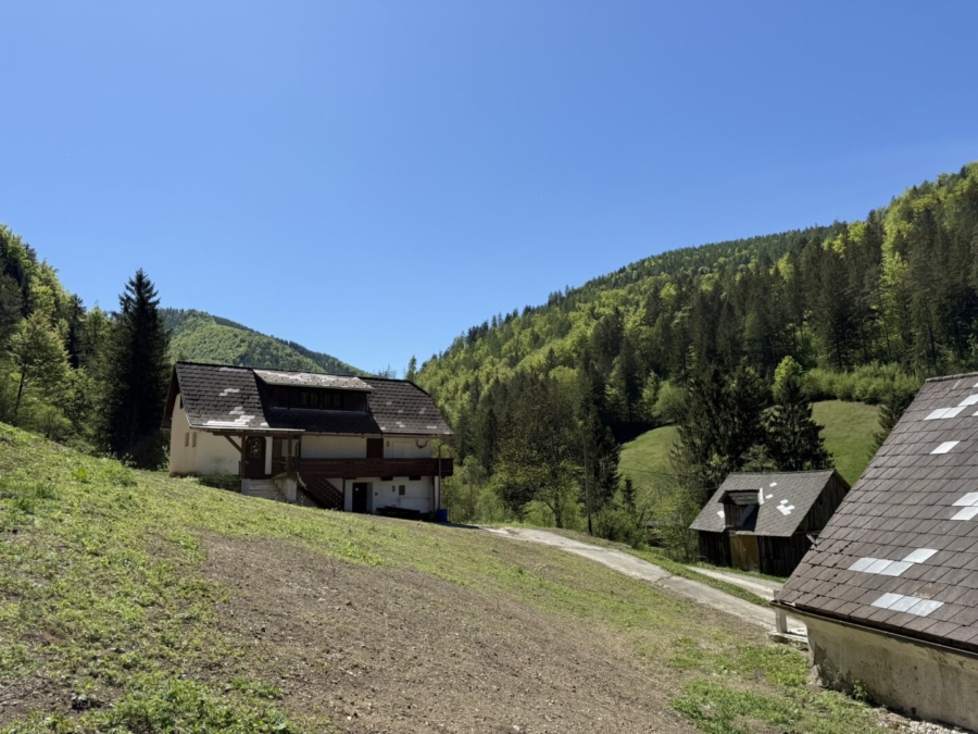 Paradies in Nähe zu Graz – Wunderbarer Besitz in Großstübing - Bild (673972)