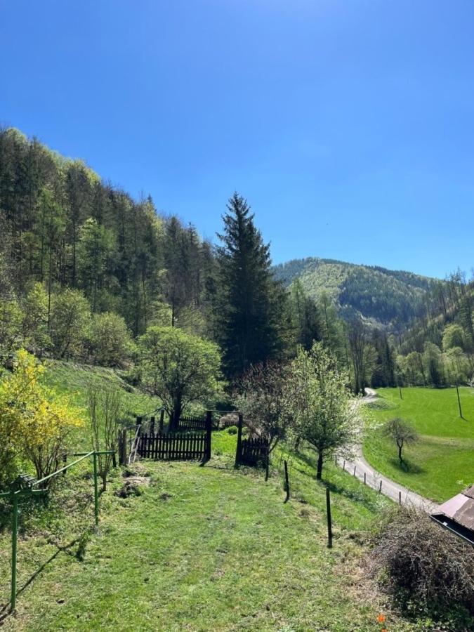 Paradies in Nähe zu Graz - Wunderbarer Besitz in Großstübing - Bild (626079)