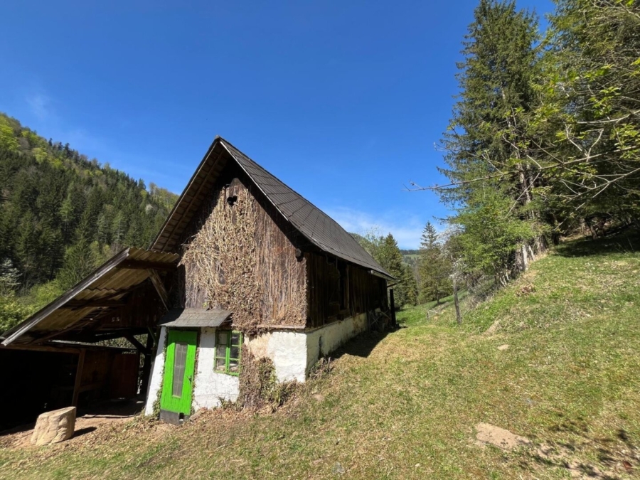 Paradies in Nähe zu Graz - Wunderbarer Besitz in Großstübing - Bild (626073)