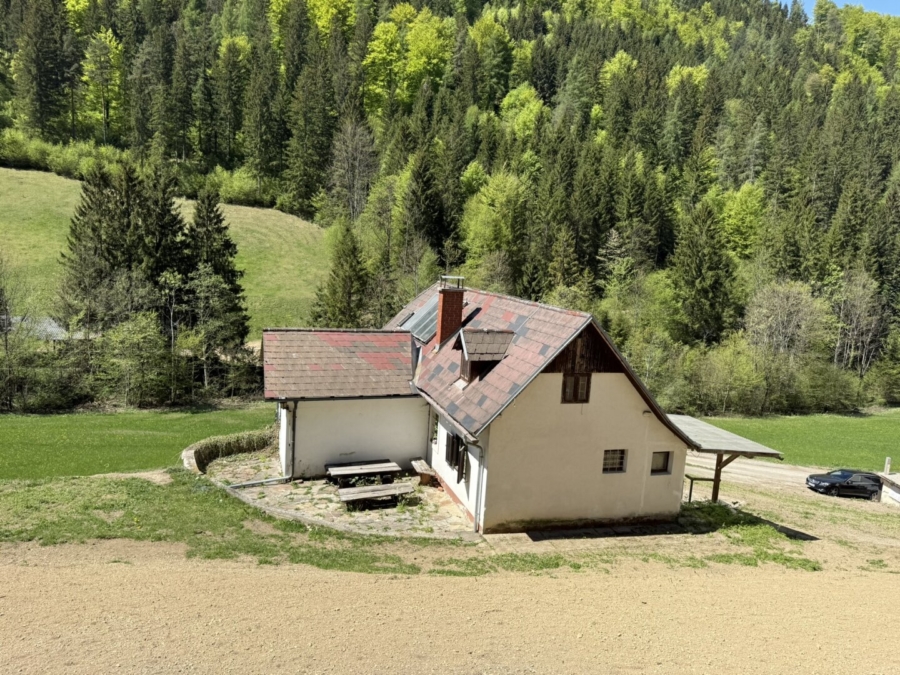 Paradies in Nähe zu Graz – Wunderbarer Besitz in Großstübing - Bild (674022)