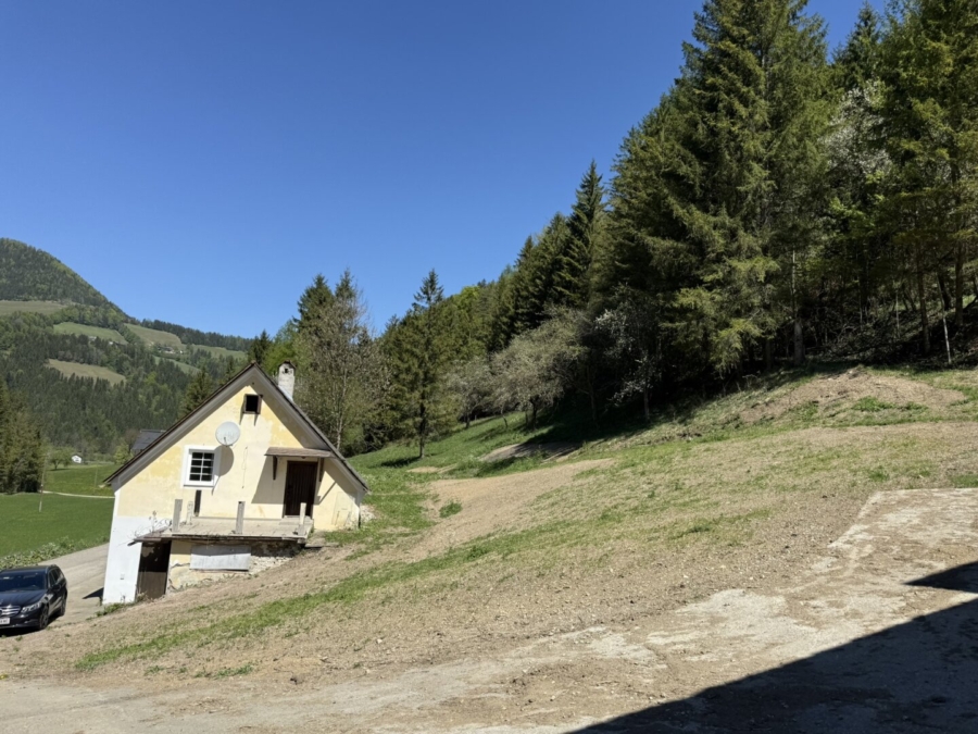 Paradies in Nähe zu Graz – Wunderbarer Besitz in Großstübing - Bild (674020)