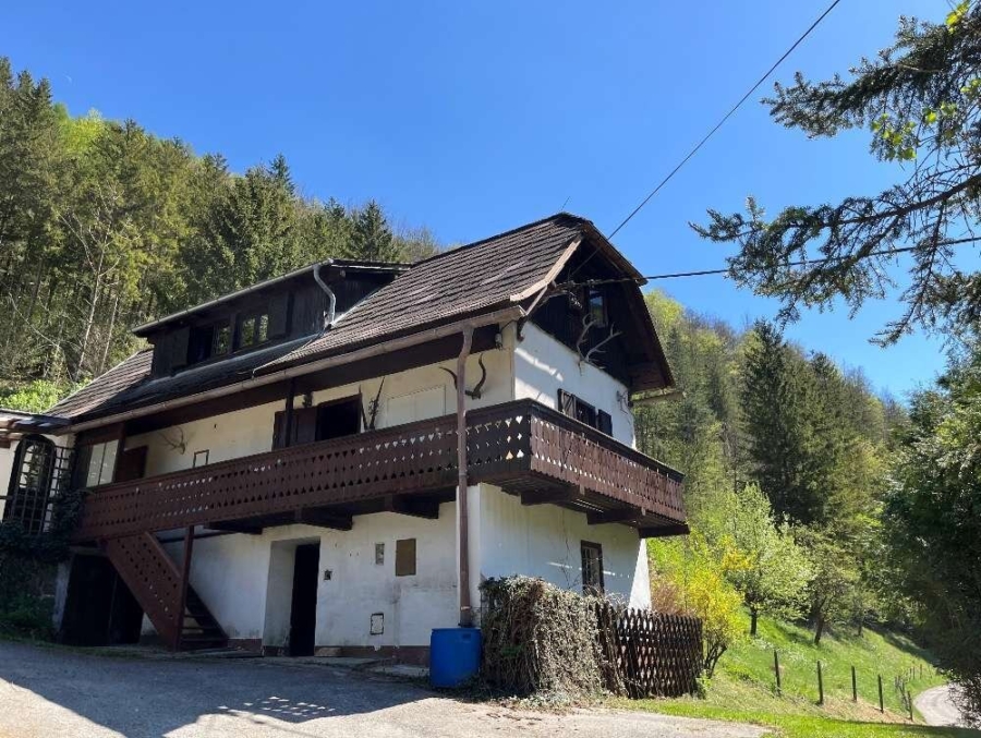 Paradies in Nähe zu Graz - Wunderbarer Besitz in Großstübing - Bild (626066)