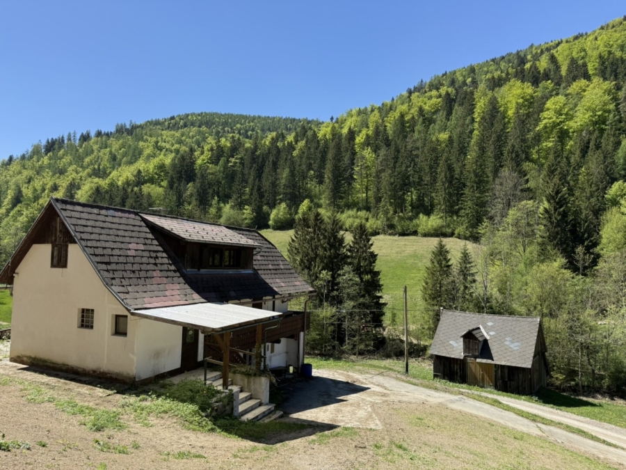 Paradies in Nähe zu Graz – Wunderbarer Besitz in Großstübing - Bild (673973)