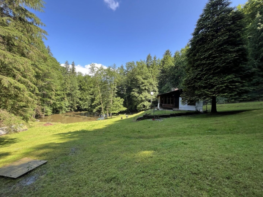 Kleine Hobbylandwirtschaft mit 36.550 m² nahe Graz - Titelbild (625937)