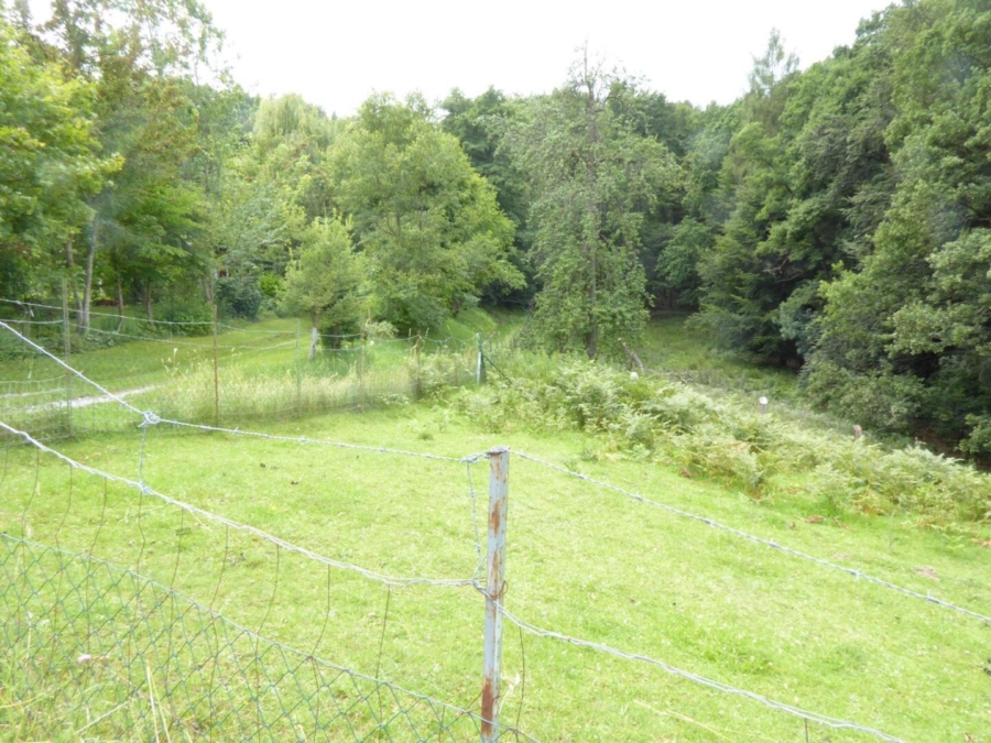 Kleine Hobbylandwirtschaft mit 36.550 m² nahe Graz - Bild (625951)