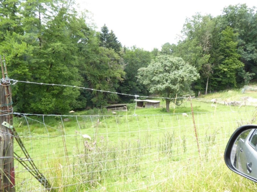 Kleine Hobbylandwirtschaft mit 36.550 m² nahe Graz - Bild (625952)