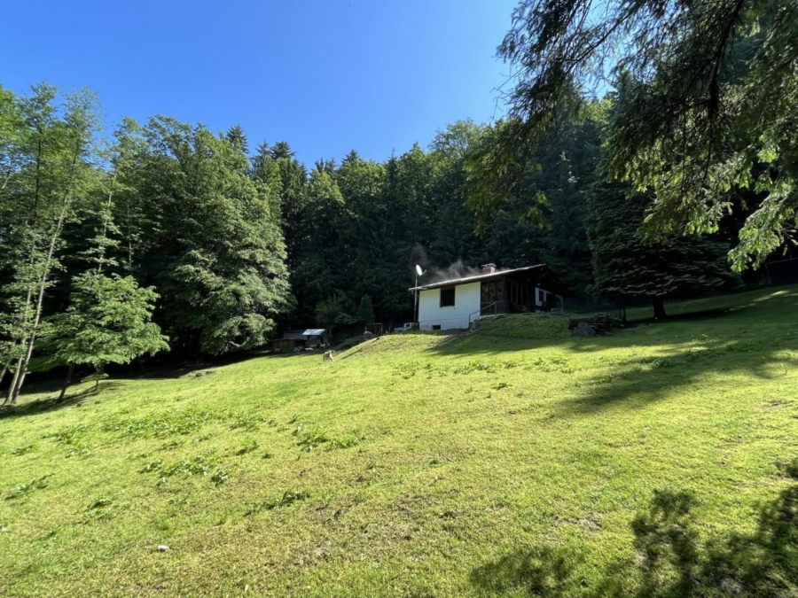 Kleine Hobbylandwirtschaft mit 36.550 m² nahe Graz - Bild (625940)