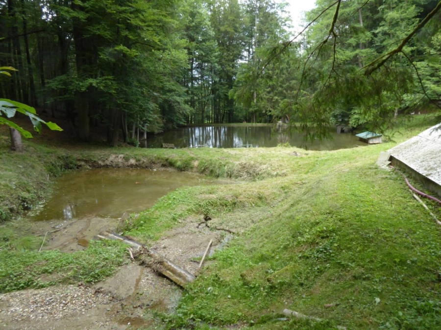 Kleine Hobbylandwirtschaft mit 36.550 m² nahe Graz - Bild (625962)