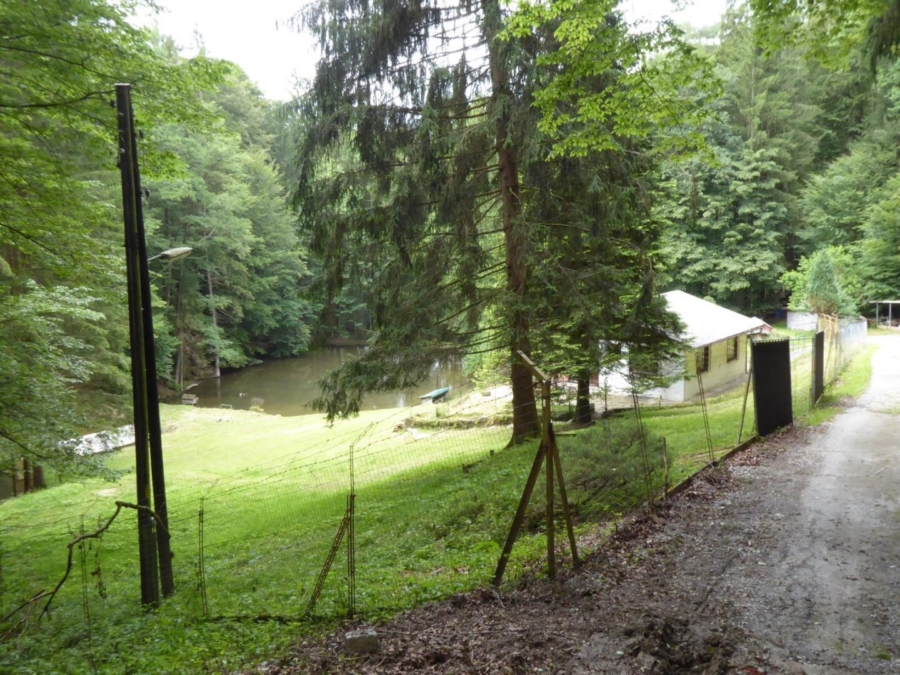 Kleine Hobbylandwirtschaft mit 36.550 m² nahe Graz - Bild (625958)