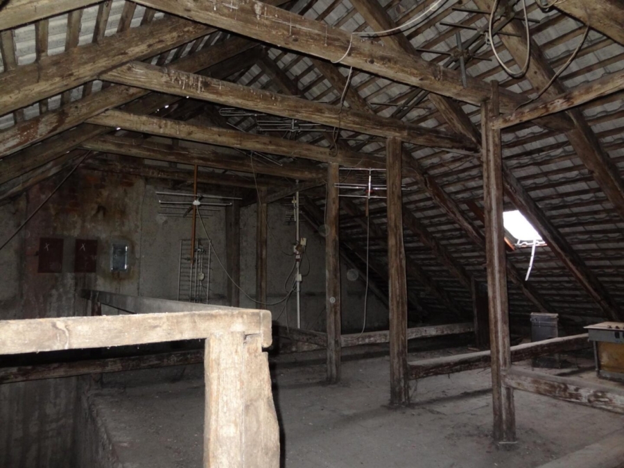 Umfassende Sanierung möglich! – Bewilligter Dachgeschoßausbau in Graz! - Bild (634268)