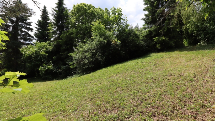 Großzügiges Landhaus in ruhiger, sonniger Aussichtslage - Bild (626310)