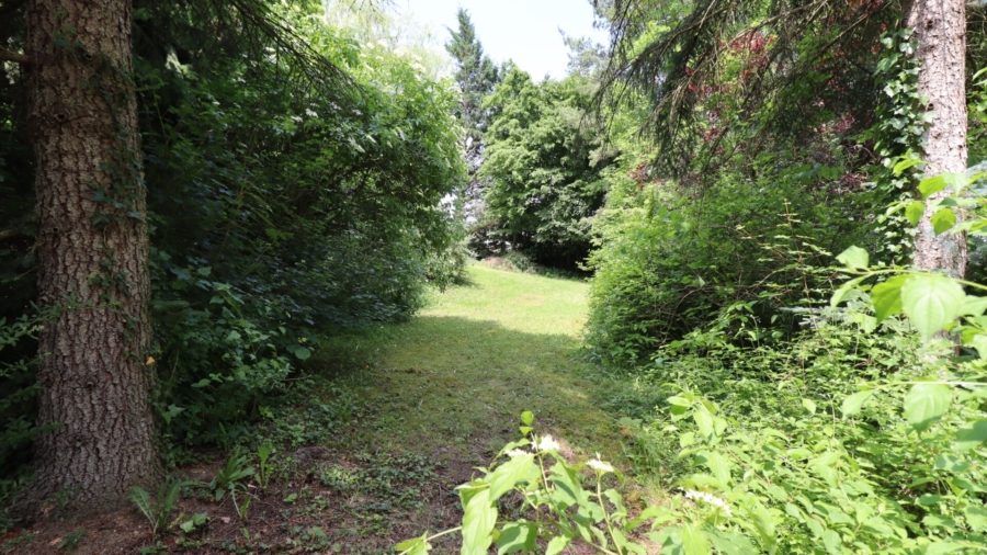 Großzügiges Landhaus in ruhiger, sonniger Aussichtslage - Bild (626311)