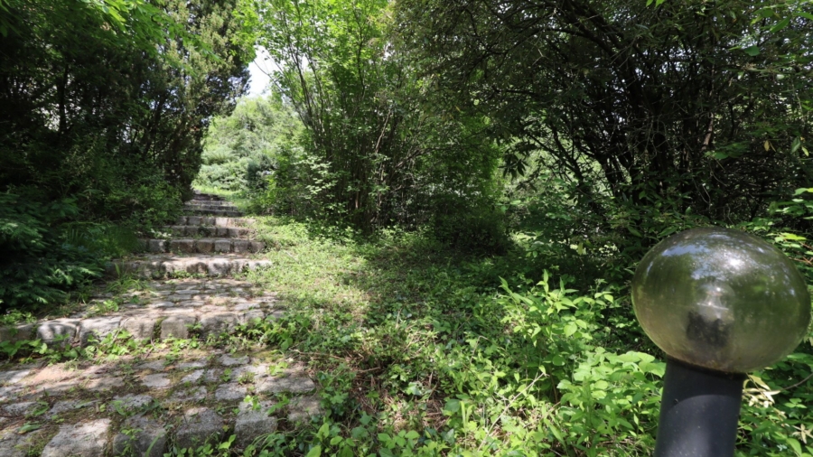 Großzügiges Landhaus in ruhiger, sonniger Aussichtslage - Bild (626309)