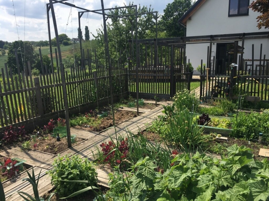 Großer Dreikant-Hof mit vielfältiger Nutzungsmöglichkeit; Wohngemeinschaft, Großfamilie, Seminare, landwirtschaftliche Aktivitäten - Bild (626212)