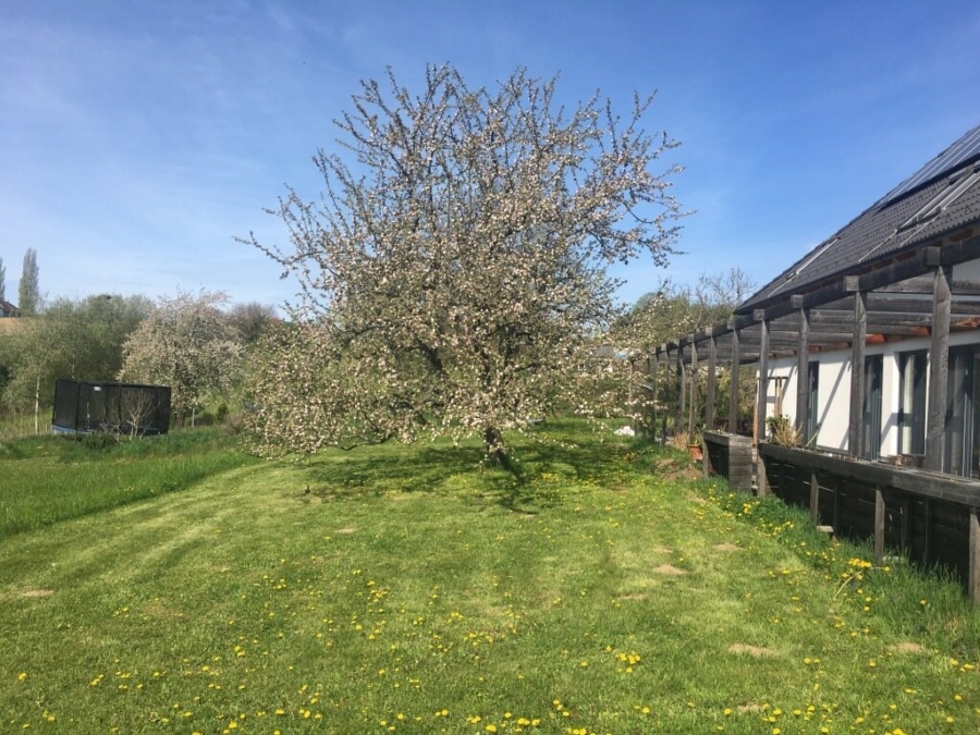 Großer Dreikant-Hof mit vielfältiger Nutzungsmöglichkeit; Wohngemeinschaft, Großfamilie, Seminare, landwirtschaftliche Aktivitäten - Bild (626196)