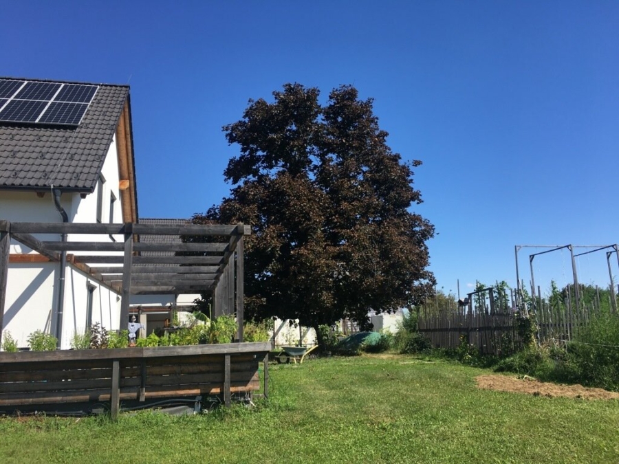 Großer Dreikant-Hof mit vielfältiger Nutzungsmöglichkeit; Wohngemeinschaft, Großfamilie, Seminare, landwirtschaftliche Aktivitäten - Bild (626198)