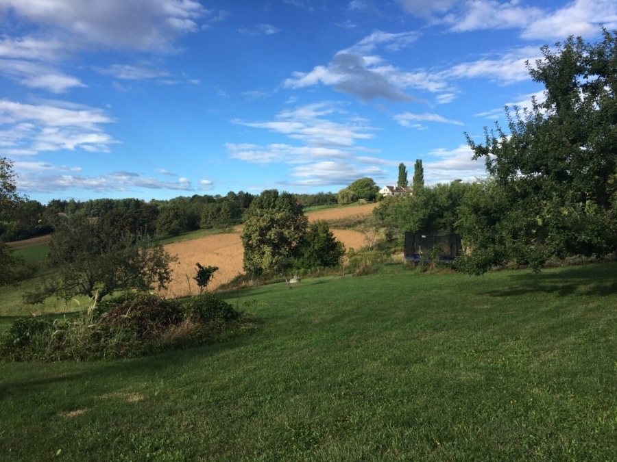 Großer Dreikant-Hof mit vielfältiger Nutzungsmöglichkeit; Wohngemeinschaft, Großfamilie, Seminare, landwirtschaftliche Aktivitäten - Bild (626214)