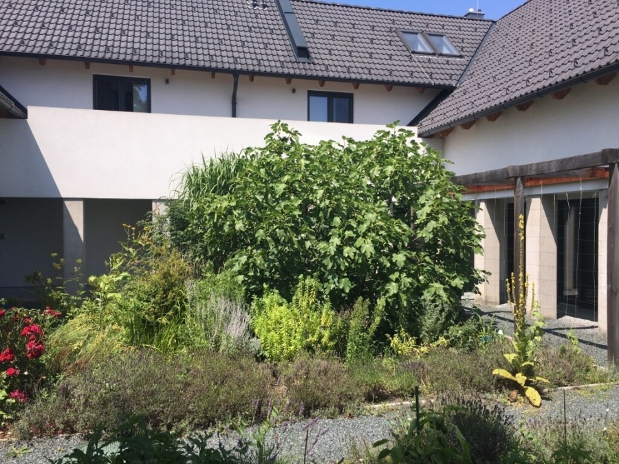 Großer Dreikant-Hof mit vielfältiger Nutzungsmöglichkeit; Wohngemeinschaft, Großfamilie, Seminare, landwirtschaftliche Aktivitäten - Bild (626195)