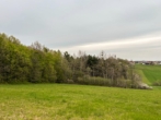 Landsehnsucht; kleine Landwirtschaft mit neu errichtetem Haus, vielfältige Zu- und Ausbaumöglichkeiten - Bild