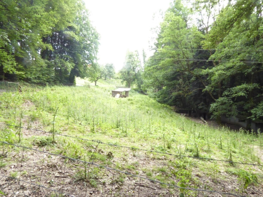 Wohnhaus mit kleiner Hobbylandwirtschaft mit 36.550 m² nahe Graz - Bild (625907)