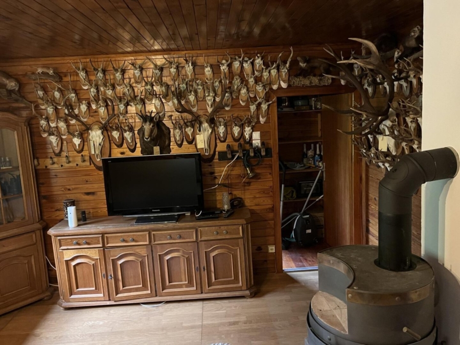 Wohnhaus mit kleiner Hobbylandwirtschaft mit 36.550 m² nahe Graz - Bild (625892)