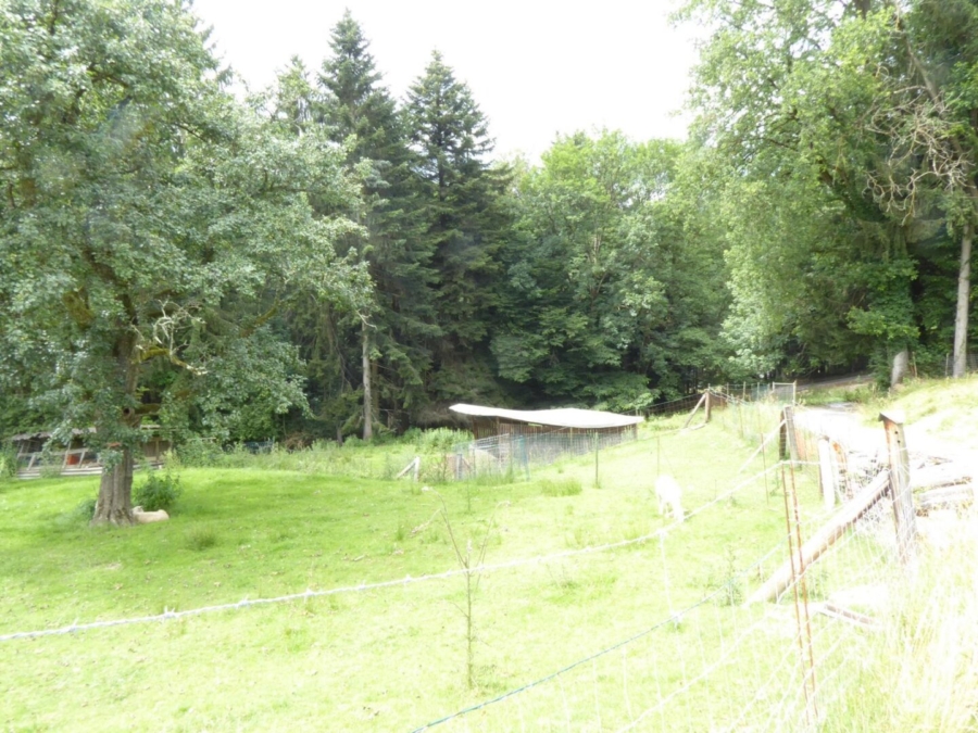 Wohnhaus mit kleiner Hobbylandwirtschaft mit 36.550 m² nahe Graz - Bild (625904)