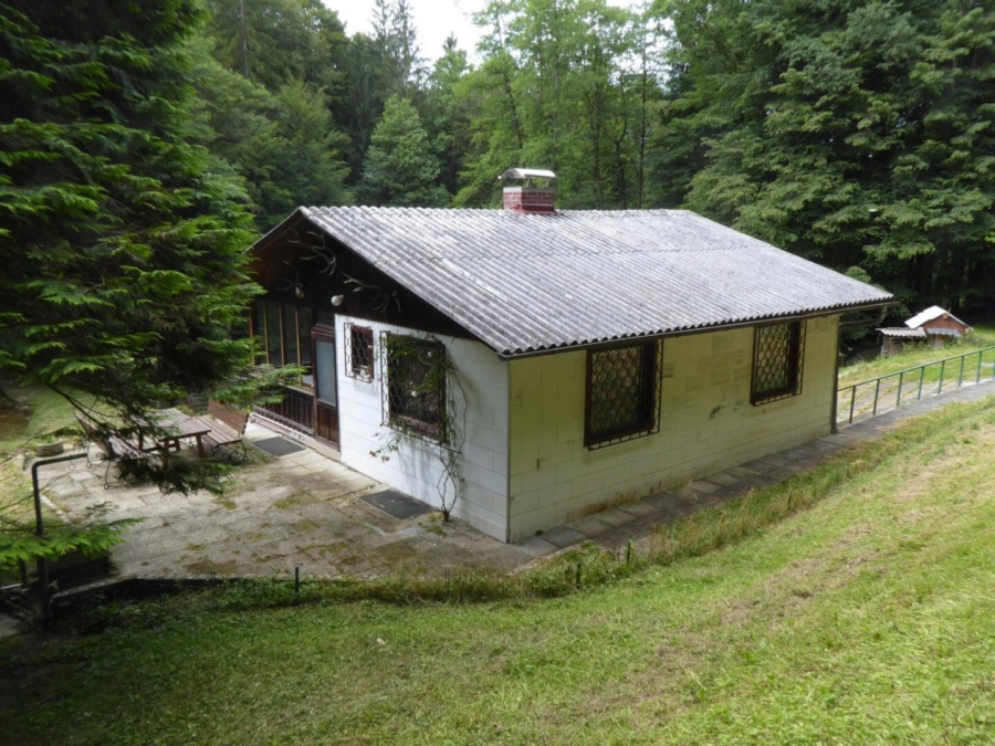 Wohnhaus mit kleiner Hobbylandwirtschaft mit 36.550 m² nahe Graz - Bild (625910)