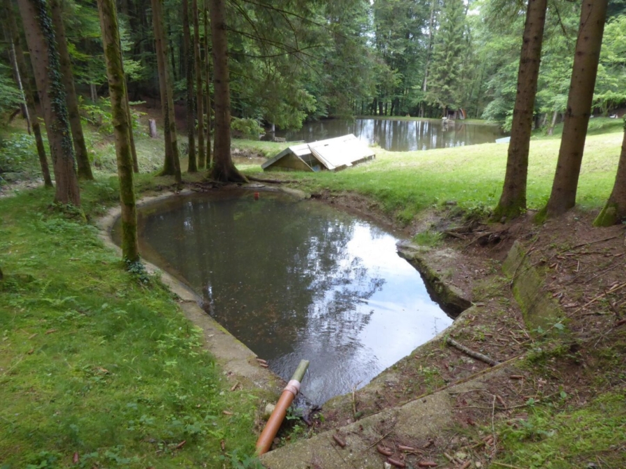 Wohnhaus mit kleiner Hobbylandwirtschaft mit 36.550 m² nahe Graz - Bild (625911)