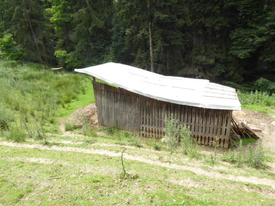 Wohnhaus mit kleiner Hobbylandwirtschaft mit 36.550 m² nahe Graz - Bild (625905)