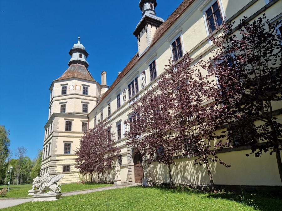 Renaissanceschloss Niederösterreich - Bild (626467)