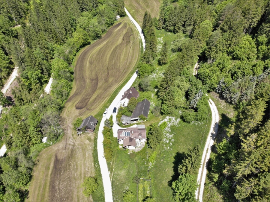 Bauernhaus mit 2,5 ha Grund in Großstübing - Bild (618406)