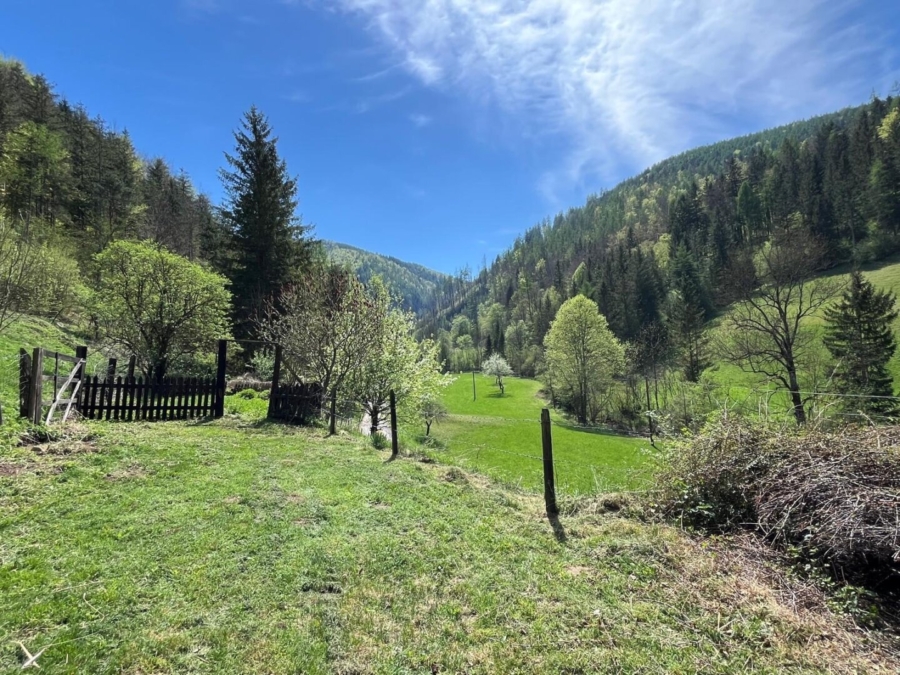 Bauernhaus mit 2,5 ha Grund in Großstübing - Bild (618423)