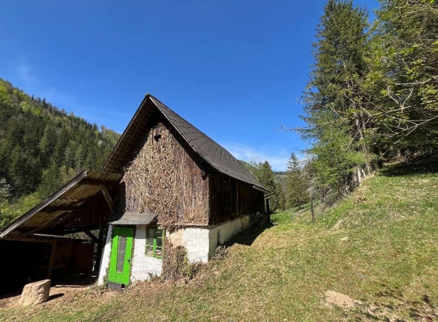 Bauernhaus mit 2,5 ha Grund in Großstübing - Bild (618441)