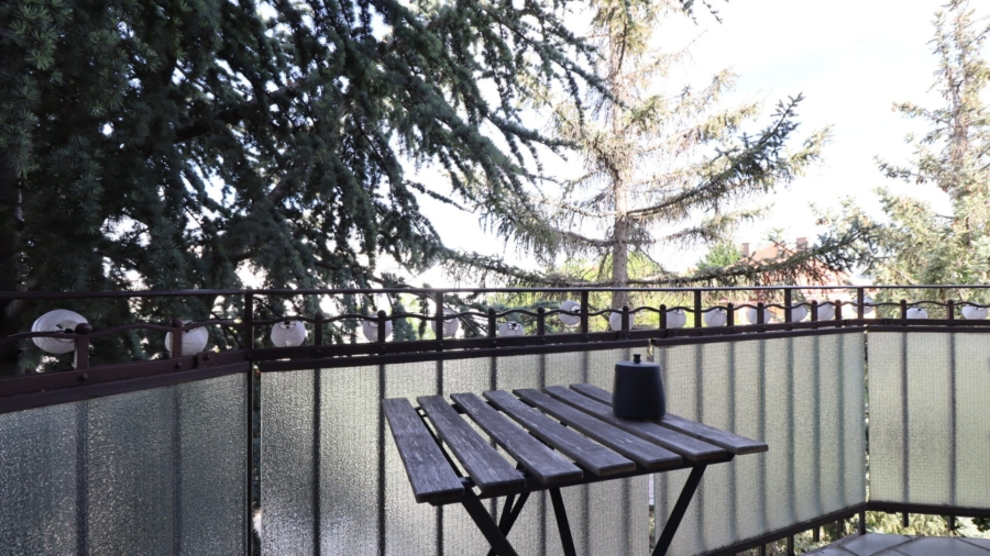 Jahrhundertwendevilla & Baureserve für 2.Haus, sonniger, ruhiger Westgarten - Bild (626445)